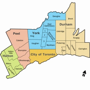 Relief pest control in Toronto & the Greater Toronto Area