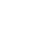 Ants