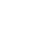 Cockroaches