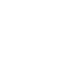 Flies