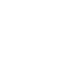 Raccoons