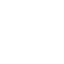 Spiders