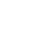 Ticks
