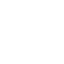 Wasps