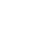 Raccoons